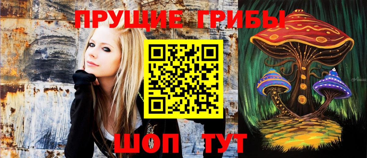 Галлюциногенные грибы Psilocybe  Вход с VPN  Нарткала  Псилоцибиновые грибы ЛСД 