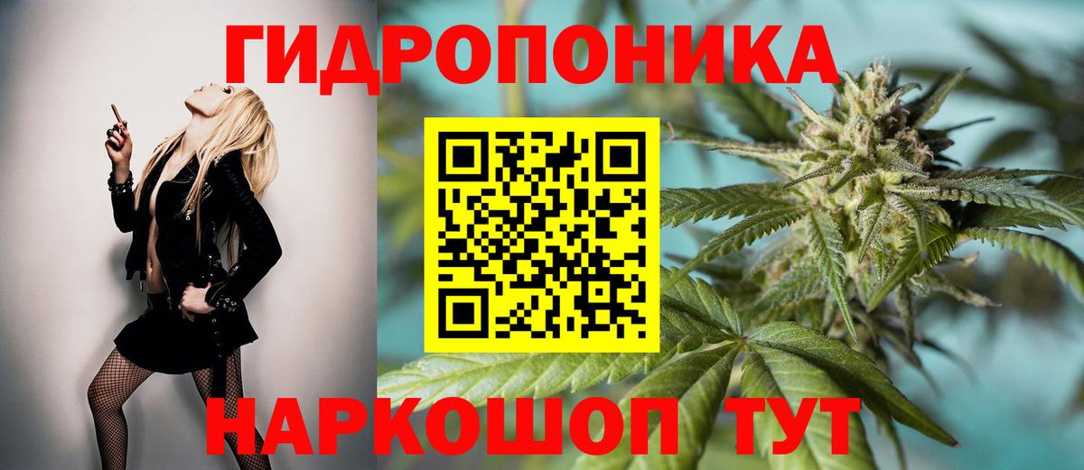 Марихуана индика  Вход с VPN  МАРИХУАНА индика  Нарткала  Конопля семена 